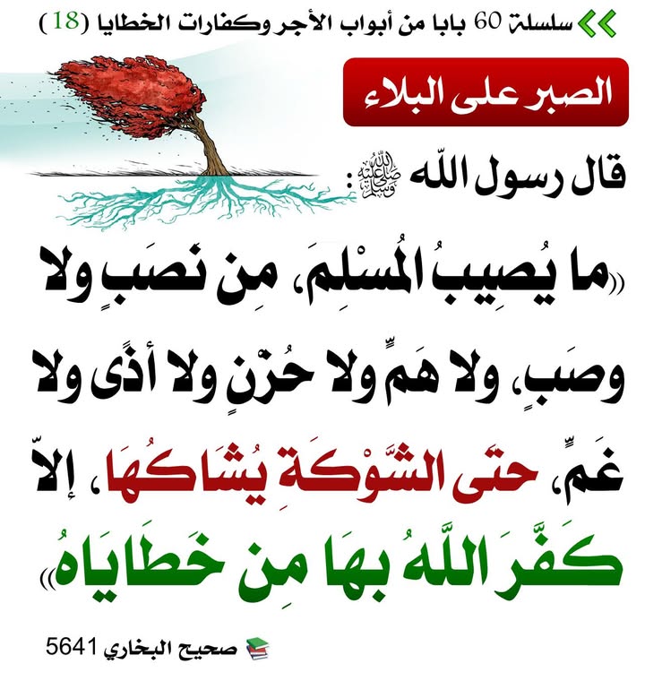 Every pain removes the sins of a muslim